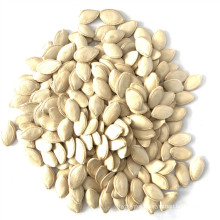 Wholesale Specification Snow White Pumpkin Seed Kernel